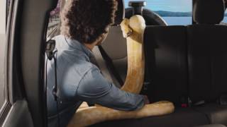 Buckle Up What You Love – Click It Or Ticket