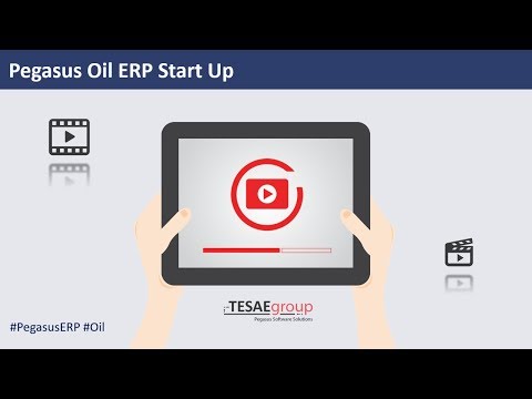 Pegasus Oil ERP Start Up