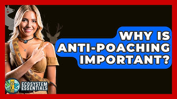 Why Is Anti-Poaching Important? - Ecosystem Essentials