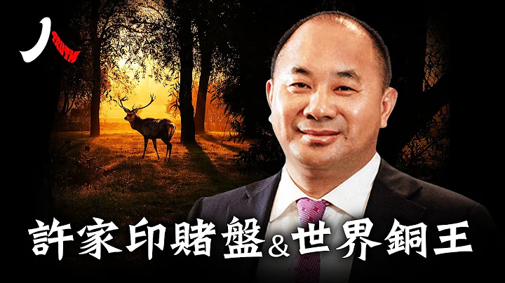 王文銀，捲入許家印戰略局的「世界銅王」| #王文銀 #許家印 #恆大 #世界銅王 #正威|【#人物真相(粵)】| #紀元頭條雪兒主播 - 天天要聞
