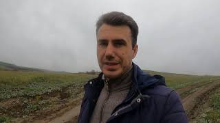 картинка: Прадо 120. Как работают имитации блокировок? Нужны ли они? Поможет ли (DAG) на глинистом спуске.