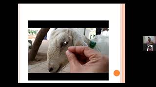 CLINICAL CASES IN LARGE ANIMAL PRACTICE – FAST TRACK DISCUSSION