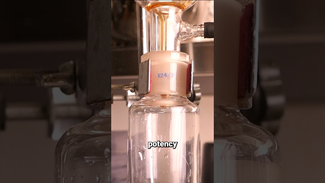 Distilled Direct Experience 