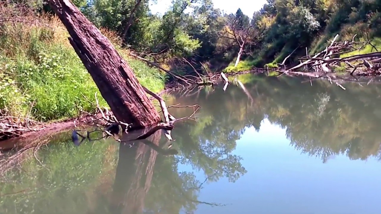 2018 8 7 Tualatin River From Rood Bridge Park to Farmington Paddle