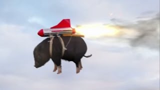 When Pigs Fly How An Ad By A Canadian Filmmaker Scored Super Bowl Airtime
