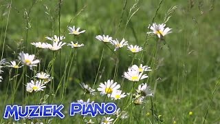 Klassieke Muziek Piano ✿ Beste ontspannende muziek 2015 beste piano ontspannende muziek   piano