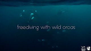 Swimming With Orcas With Chiara Salomoni and Natalie Parra