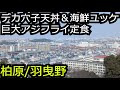 巨大アジフライ定食 ふっくらデカ穴子天丼&海鮮ユッケ 玉手山公園梅林【大阪 柏原羽曳野】