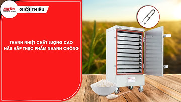 Tủ nấu cơm 10 khay dùng điện Việt Nam inox 304: công suất 12kW cho 240 suất ăn/mẻ