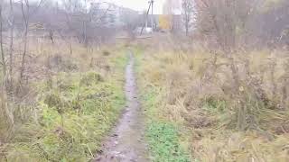 🇷🇺 Глубинарий  дома . Погружение неизбежно #shortsvideo #shorts #тревелвлог #юмор #кино #турыонлайн