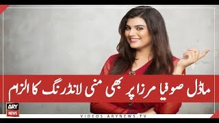 Actress And Model Sofia Mirza, Alleged Money Launderer