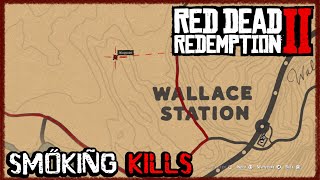 RDR2 Players Should Try This Even Once Red Dead Redemption 2