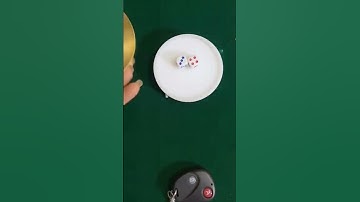 The Invisible Edge: Magnetism for Undetectable Dice Rigging