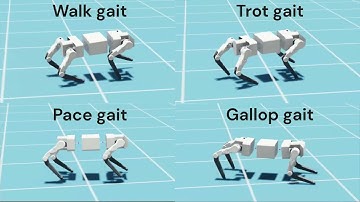 CPG-based locomotion control of a quadruped robot with an active spine