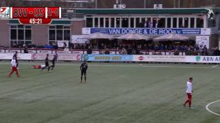 Barendrecht Ijsselmeervogels