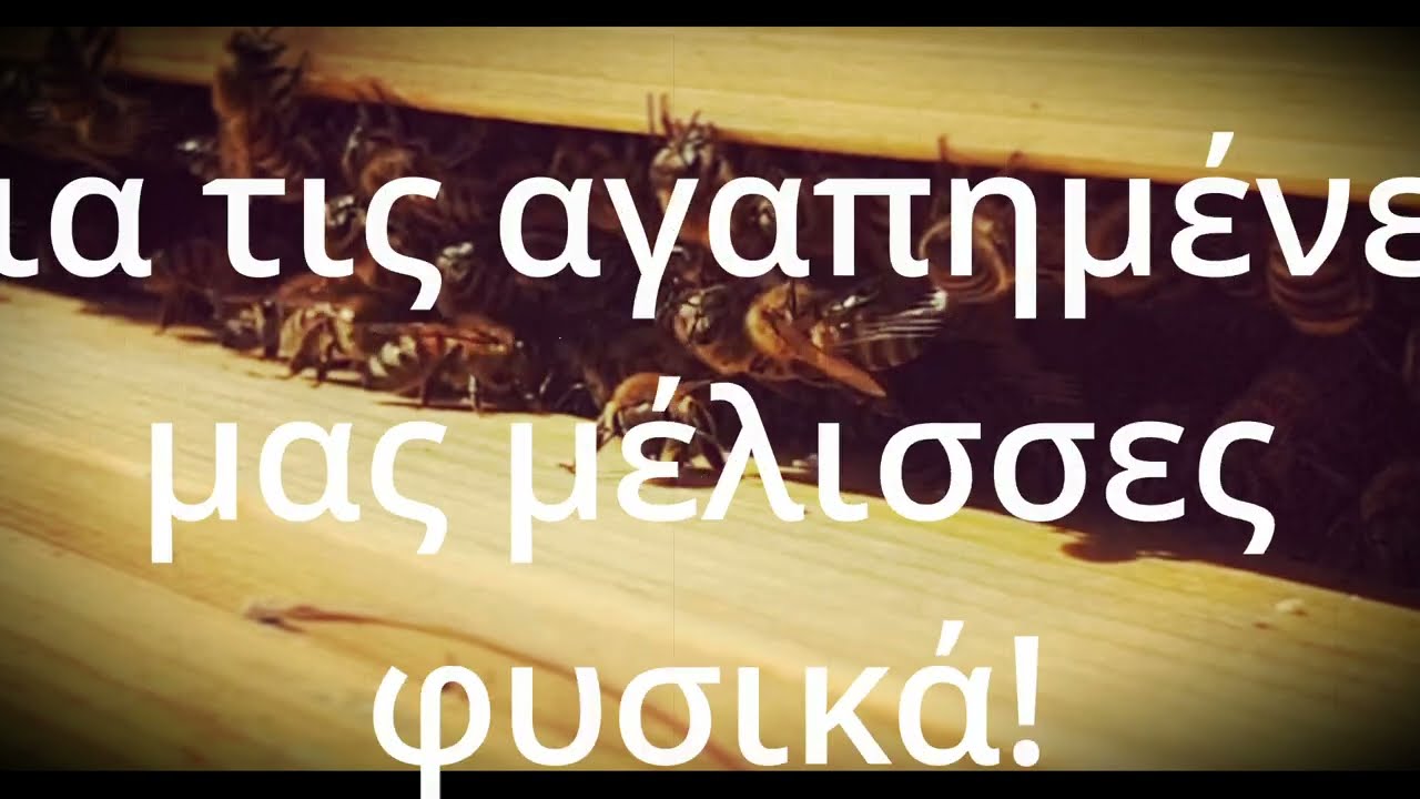 μελισσοκομικά φυτά χειμώνα