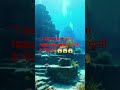 #Dwaraka #IndianHistory #LostCity #Mahabharata#AncientIndia #History#viral #history #facts #shorts