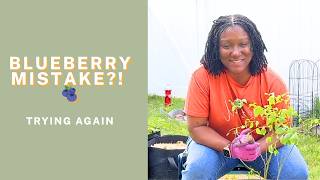 My Blueberry Plant Died… So I’m Trying This Instead