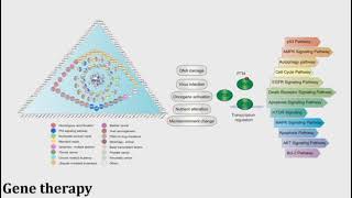 Twenty years of Gendicine® rAd p53 Cancer Gene Therapy