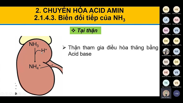 So sánh quá trình khử amin và trao đổi amin