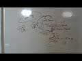 audit note-book