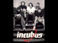 Incubus - While All The Vultures Feed
