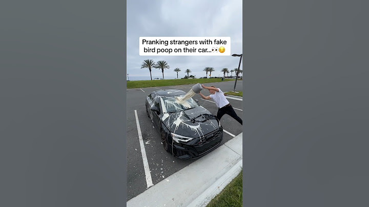 Pranking strangers by putting fake bird poop on their car…👀💩