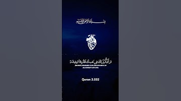 تلاوة مباركة بصوت جميل #quran #اكسبلور #القران_الكريم  #ياسر_الدوسري