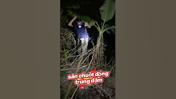 săn chuột đồng trúng đậm #fishing #dulich #fish #beach #tintucdoday #dongvat #mientay #fishinglife