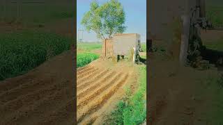 # शुभ प्रभात 🙏 माई यूट्यूब फेमिली #