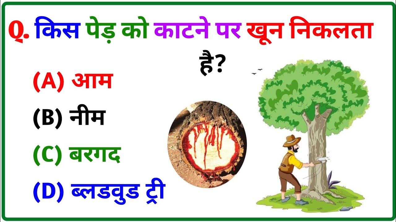 GK Question || GK In Hindi || GK Question and Answer || GK Quiz || BRAIN BOOSTER || 12