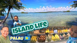 PALAU ISLAND DAY IN A LIFE 🇵🇼 KOROR TO AIRAI STATE