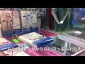 UFOキャッチャー講座！ワンピース！チョッパーA5バインダー攻略法！
