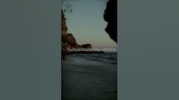 سورة الملك • مكية • بصوت هاني الرفاعي | عدد الآيات: 30 #قرآن #Quran #تلاوة #قرآن_كريم #الملك