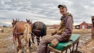 BACKING UP DRAFT HORSES & UPDATES ON THE FARM #602