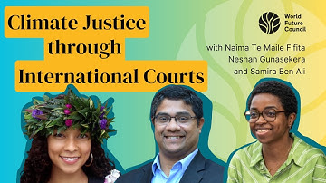 How International Courts Shape Climate Justice: Insights on the ITLOS Advisory Opinion