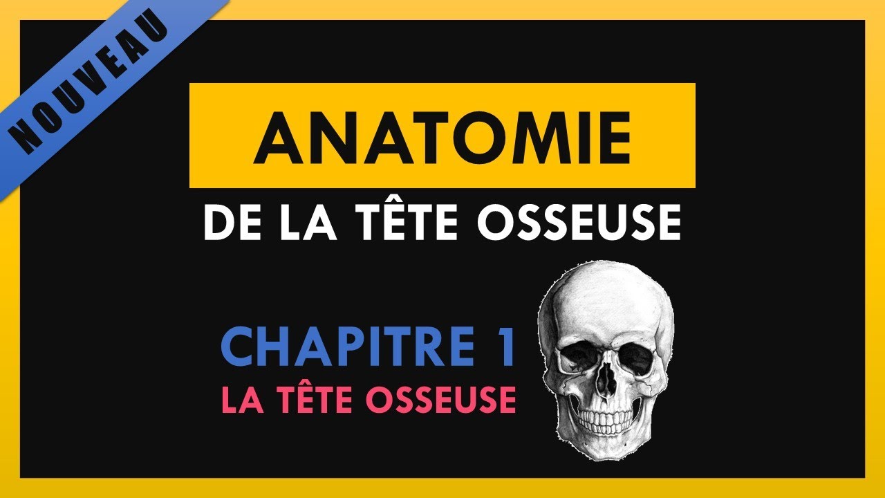 Anatomie De La Tête Osseuse - Chapitre 1 - La tête osseuse