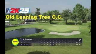 PGA Tour 2K25 - Old Leaning Tree C.C.
