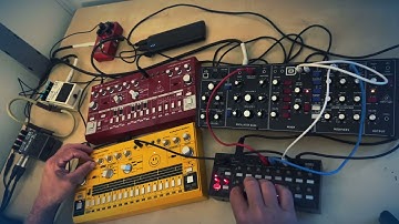 Improvised Jam - Model D, RD-6, TD-3, Korg SQ-1