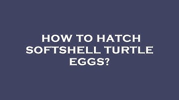 How to hatch softshell turtle eggs?