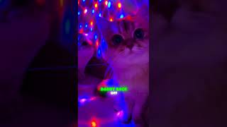 Glow Box Mystery Secret Agent Lockdown Like Unlock Magic Dust