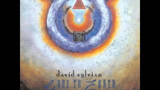 David Sylvian - Silver Moon Over Sleeping Steeples