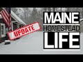 Building a Homestead in Maine, One Year at a Time