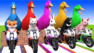 5 Giant Duck, Monkey, Piglet, chicken, elephant, lion, cat, Sheep, Transfiguration funny animal 2024