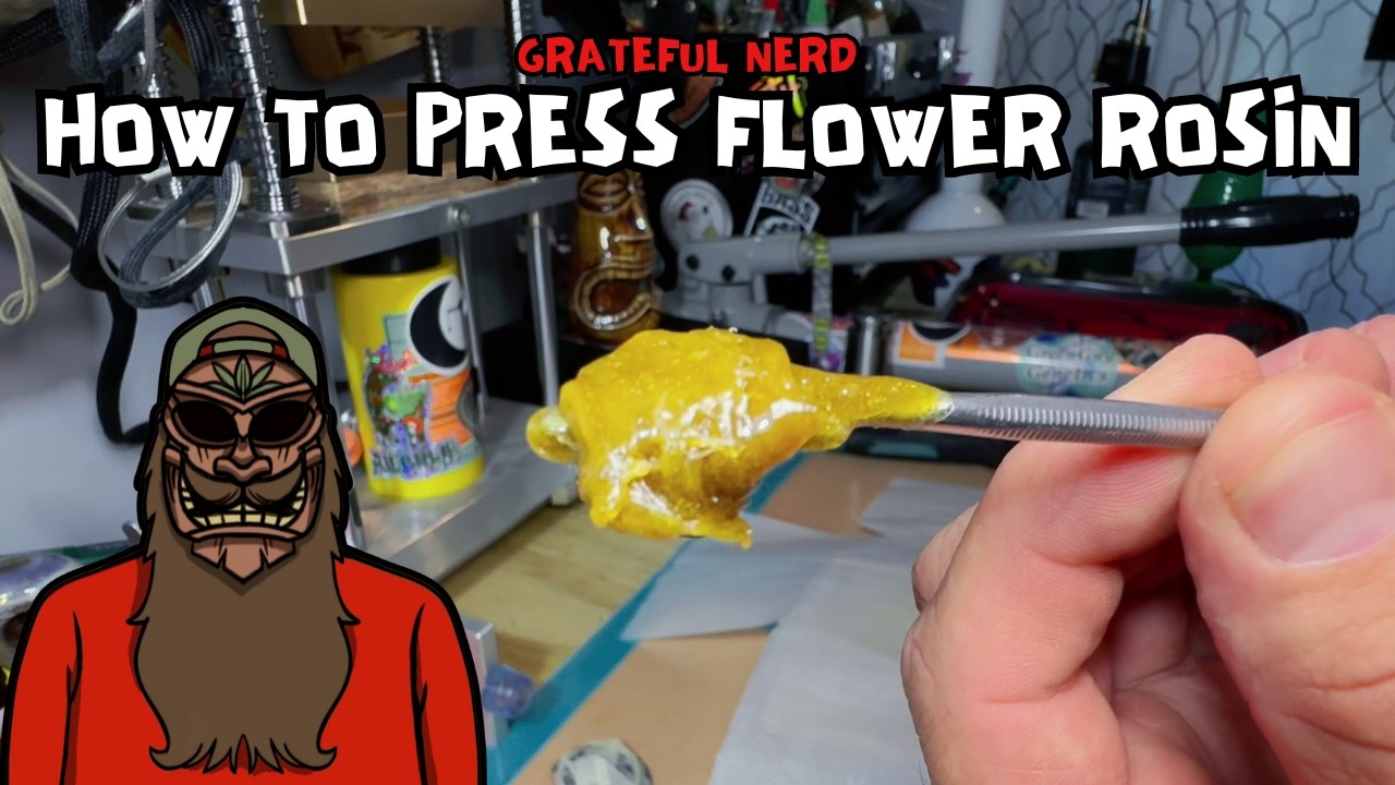 Как мы используем термопресс для извлечения растительного масла | Проект «Образовательный сад»