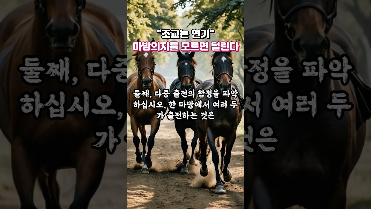 조교는 연기! "마방의지를 모르면 털린다"