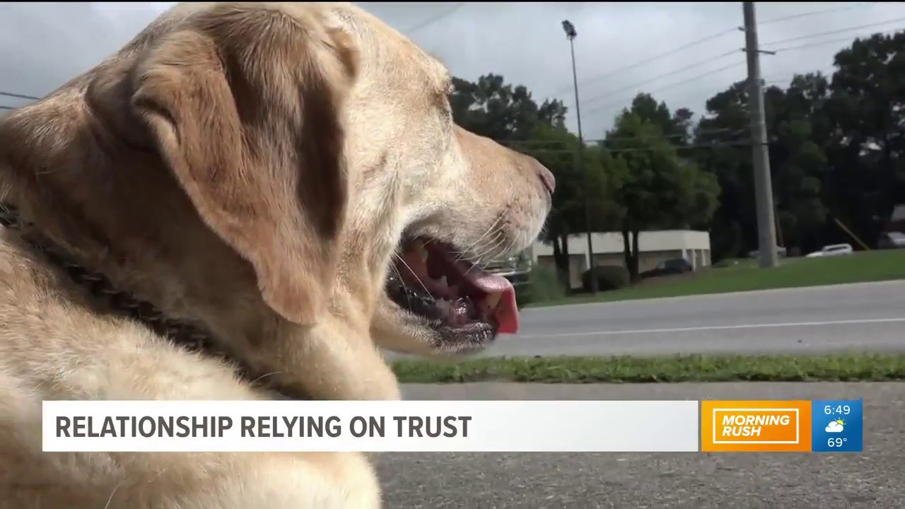 harnessing mineral resources 11 Alive Highlights Guide Dog Graduate Jamie Marks