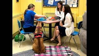 Animal Assisted Interventions at The Calais School