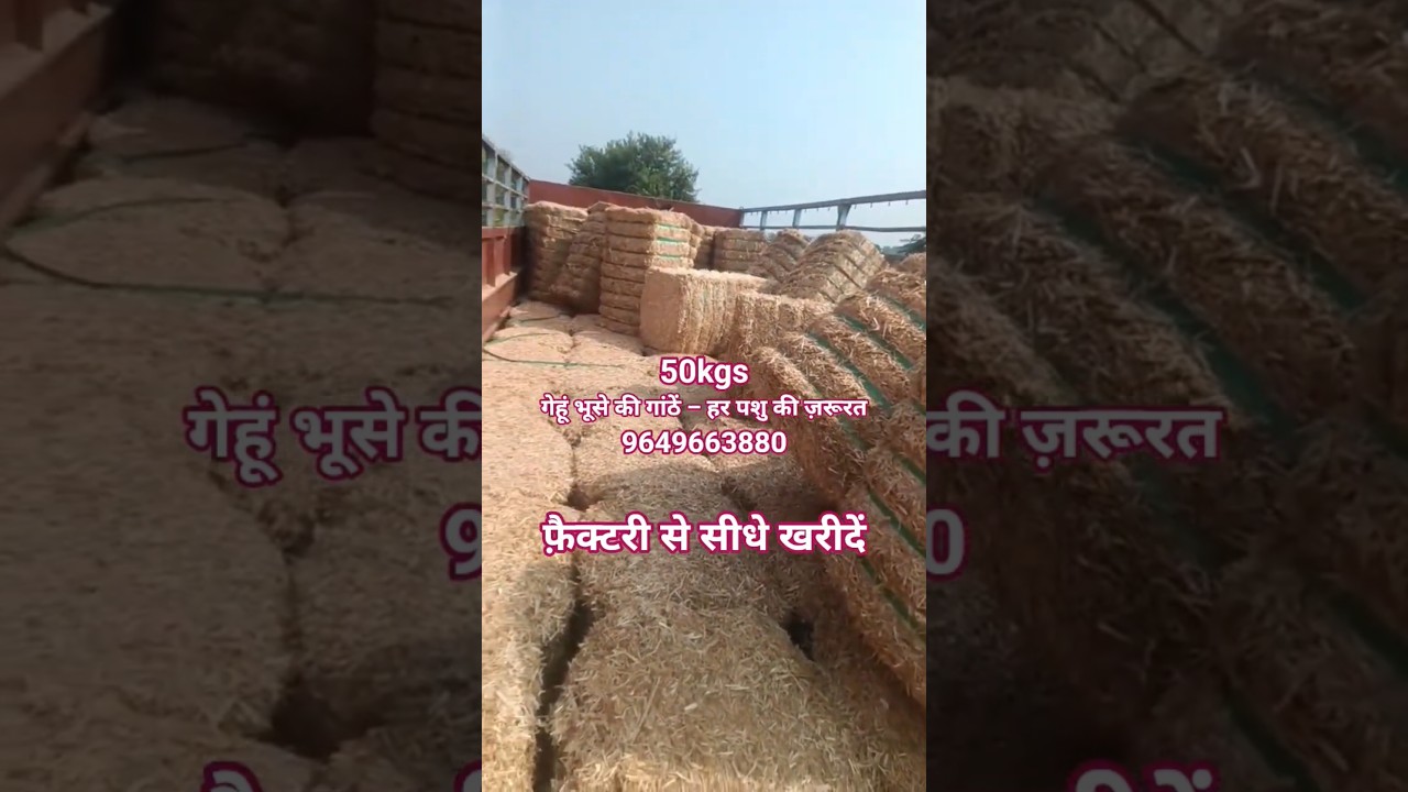 wheat straw bale 50kg 