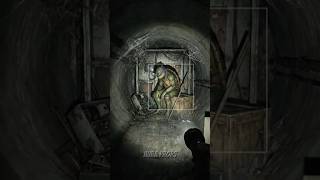 Abandoned Ninja Turtles World What Went Wrong?